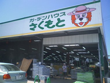 %E3%81%95%E3%81%8F%E3%82%82%E3%81%A8%E6%B5%A6%E6%B7%BB.jpg