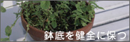 鉢底を健全に保つ