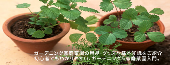 ガーデニング家庭菜園の用品・グッズや基本知識をご紹介。初心者でもわかりやすい、ガーデニング＆家庭菜園入門。