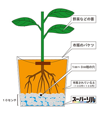 エコ栽培システム1