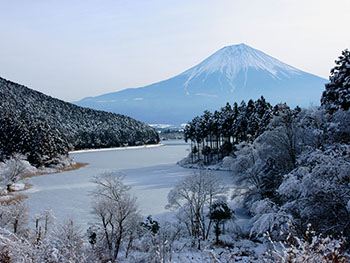 雪化粧